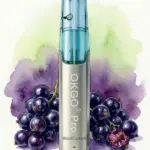 OKGO 6500 Puffs BlackCurrant-10 Pack