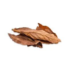 Tobaccoo