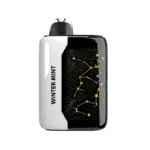 Fume Pro 30K Puffs – WinterMint