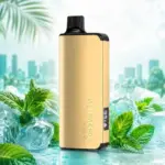 ALIBARBAR INGOT Miami Mint 9000 Puffs
